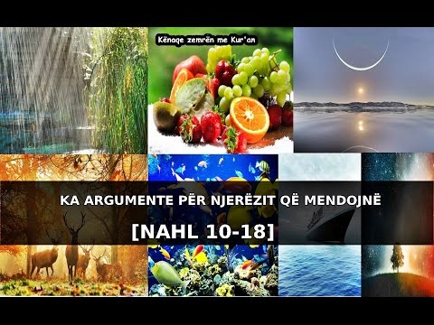 KA ARGUMENTE PËR NJERËZIT QË MENDOJNË [NAHL 10-18]