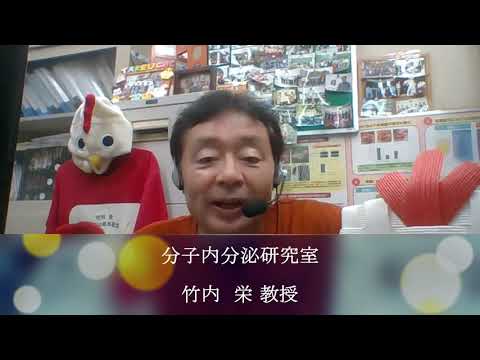 理学部生物学科分子内分泌学研究室研究紹介（竹内　栄）