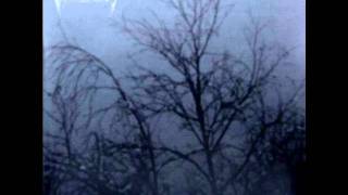 Vinterriket: Verloren in den Tiefen des Waldes (4 min)