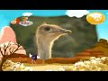 Baby TV Bim And Bam Ostrich Philippines 2014 November 7