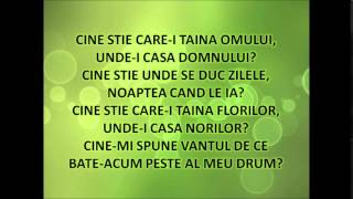 Holograf - Cine stie (cu versuri)