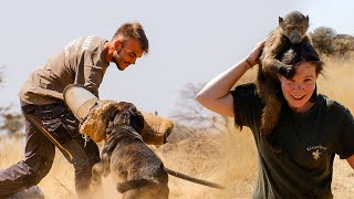 Experience The Namibia Wildlife Sanctuary