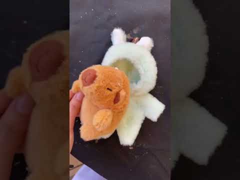 love capybaras Get your authentic labubu in my bio 💟 #labubu #lafufu #fyp #fypシ