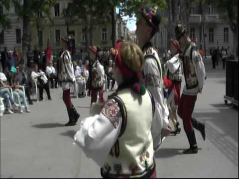KUD " Jaokim Hardi " , Petrovci  :  Rusinski narodni plesovi