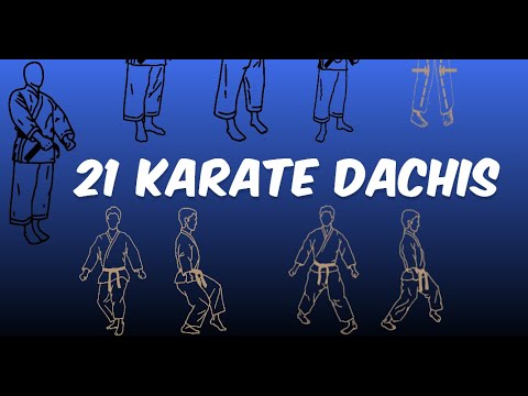 21 karate dachis #allkaratedachies  #alldachiesinkarate #allkaratestances #allstancesinkarate