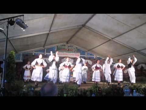 11914627 400364560155445 703287662 n