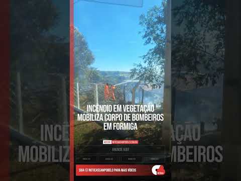 Incêndio em Vegetação Mobiliza Corpo de Bombeiros em Formiga #Shorts