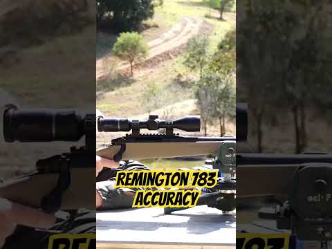 Remington 783 Review
