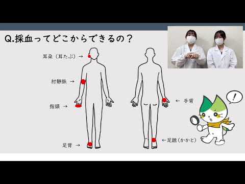 【山口大学OC2025／医学部／保健学科】サイケツ？採血!? スペシャリストになるための採血実習！