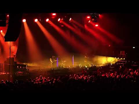 Dead Posey - Blue Monday