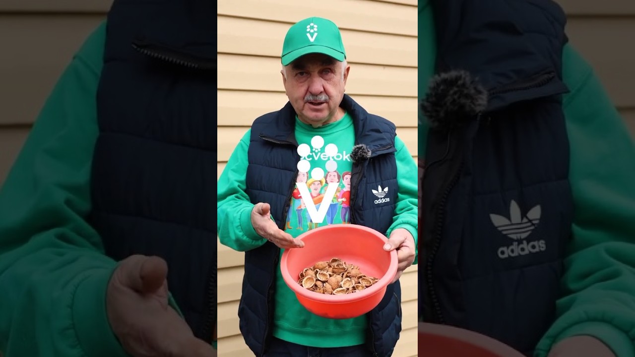 Любите грецкие орехи? Не выбрасывайте скорлупу!