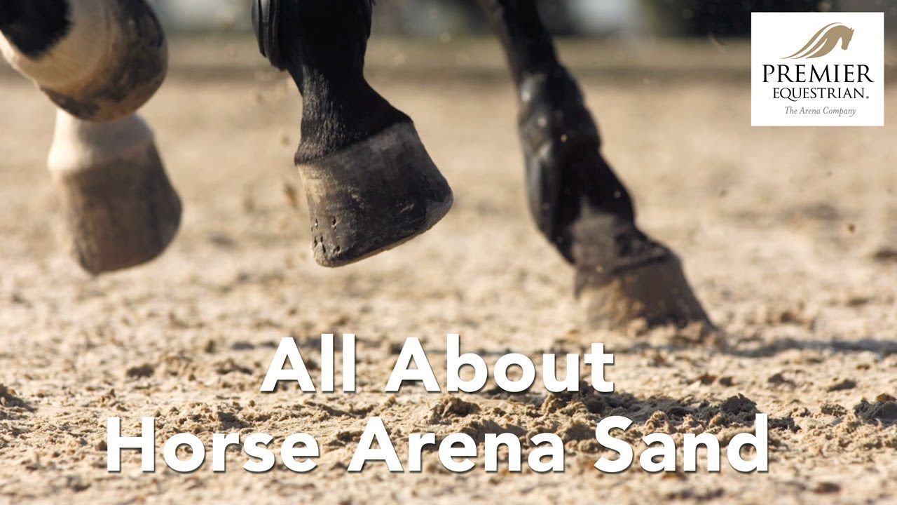 What is the best material for a horse arena? Tipseri