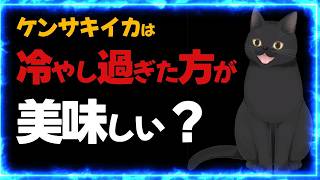 「透明なイカ＝美味い」は勘違い。ただの「見栄え」です