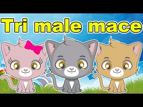 Tri male mace - Pesmica za decu | Pesma o životinjama | Životinje za decu | Three Little Kittens
