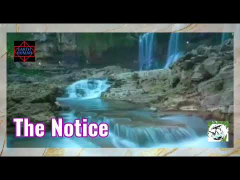 The Notice~Chris Reece ft Nadia Ali 