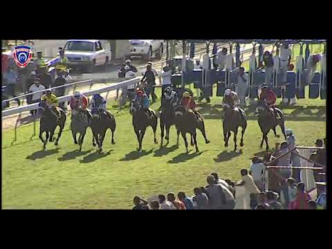 RM13 R7 | Afdeek | D.Holland