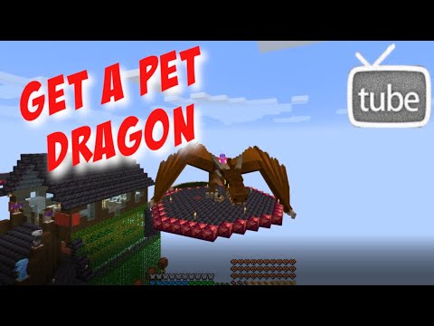 Get A Pet Dragon - ATM6 Sky