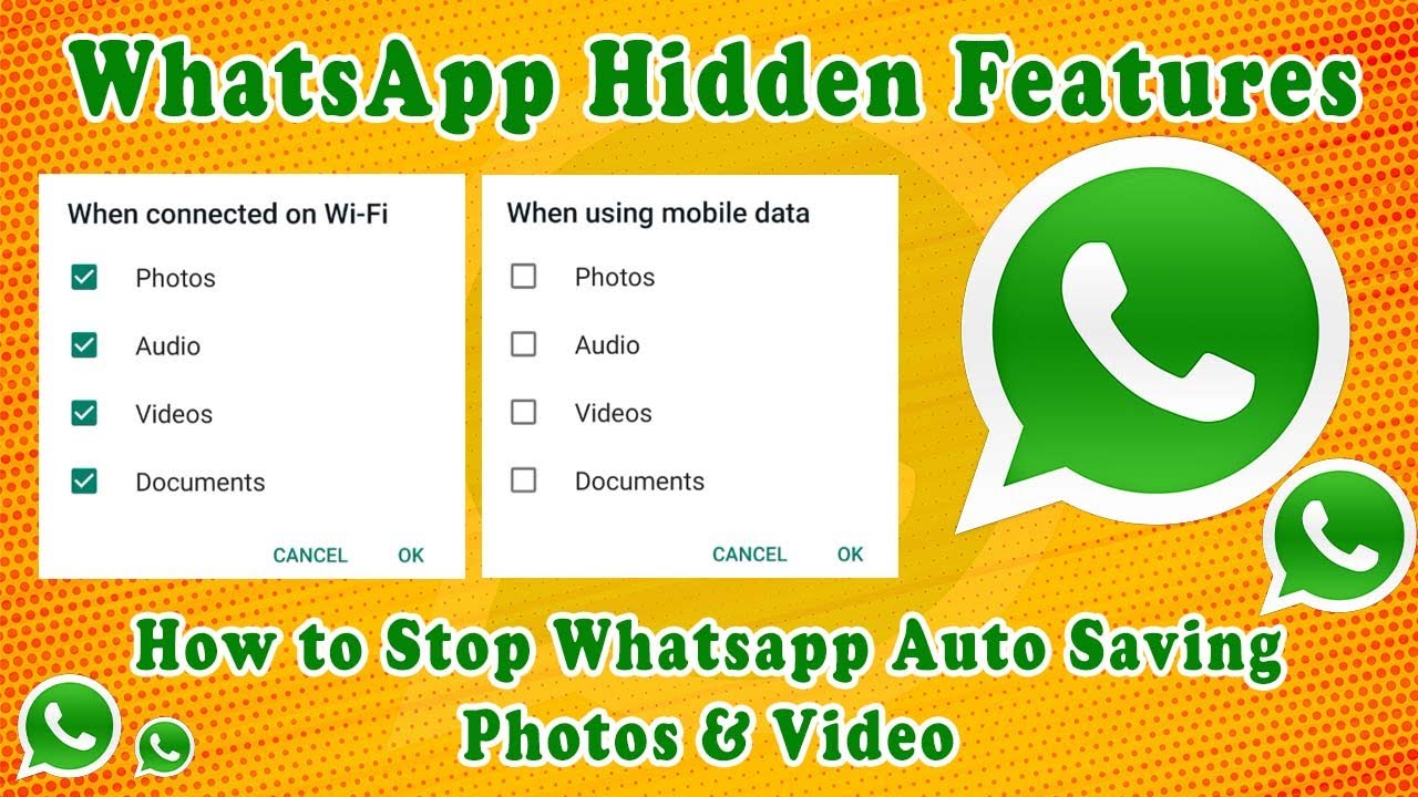 Stop WhatsApp Auto Saving Photos & Video