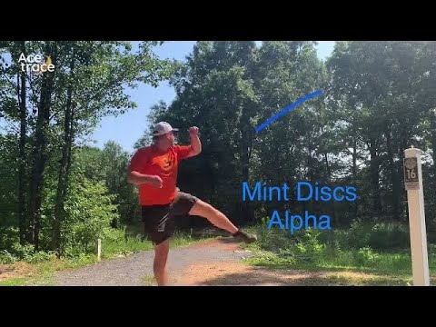 Mint Discs Alpha Review