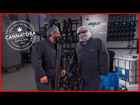 This High-Tech Grow Was Designed Around Remo Nutrients (ft. Cannatoba)