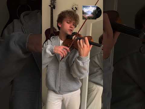Ethereal - TXMY - Zotov violin cover