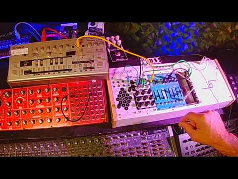 Dreadbox Hysteria + Eudemonia Eurorack Modules | Modular Monday