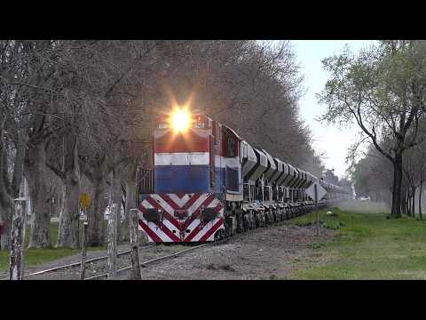 ALCo-GM RSD-16 8258 NCA saliendo de Oliva