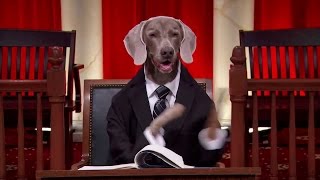 Evans v. Michigan: Oral Argument - November 06, 2012