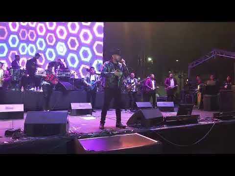 El Bebeto y Su Banda Patria Chica - El Querreque