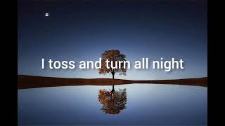 Sweet Fever (Lyrics Video)
