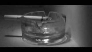 Chasing Sheep Is Best Left To Shepherds