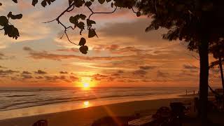 Download lagu VIDEO MENTAHAN SUNSET PANTAI PANJANG #sunsetview #indie #kotabengkulu #pemandanganalam #bataskota mp3 Download lagu VIDEO MENTAHAN SUNSET PANTAI PANJANG #sunsetview #indie #kotabengkulu #pemandanganalam #bataskota mp3
