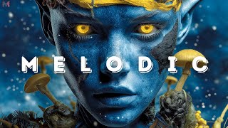 M O O N L I G H T DJ set