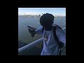 Playboi Carti No Time Feat Gunna 528hz Remix