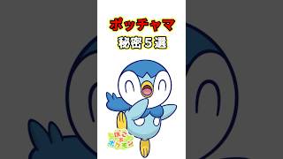 ポッチャマの秘密５選　ポケモン解説