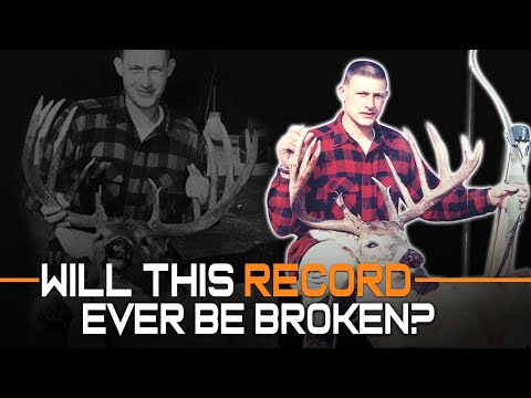El ciervo de cola blanca típico más grande capturado por un cazador con arco