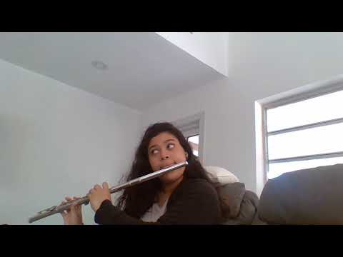 Vlog #1 | demons by imagine dragons flute cover