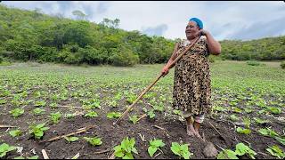 SÓ FALA MAL QUEM NÃO CONHECE - ASSENTAMENTO NOVA VIDA -  NOVO CRUZEIRO MG