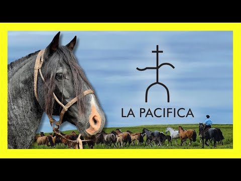 A origem de Colibri Matrero na Cabaña La Pacífica 🇺🇾