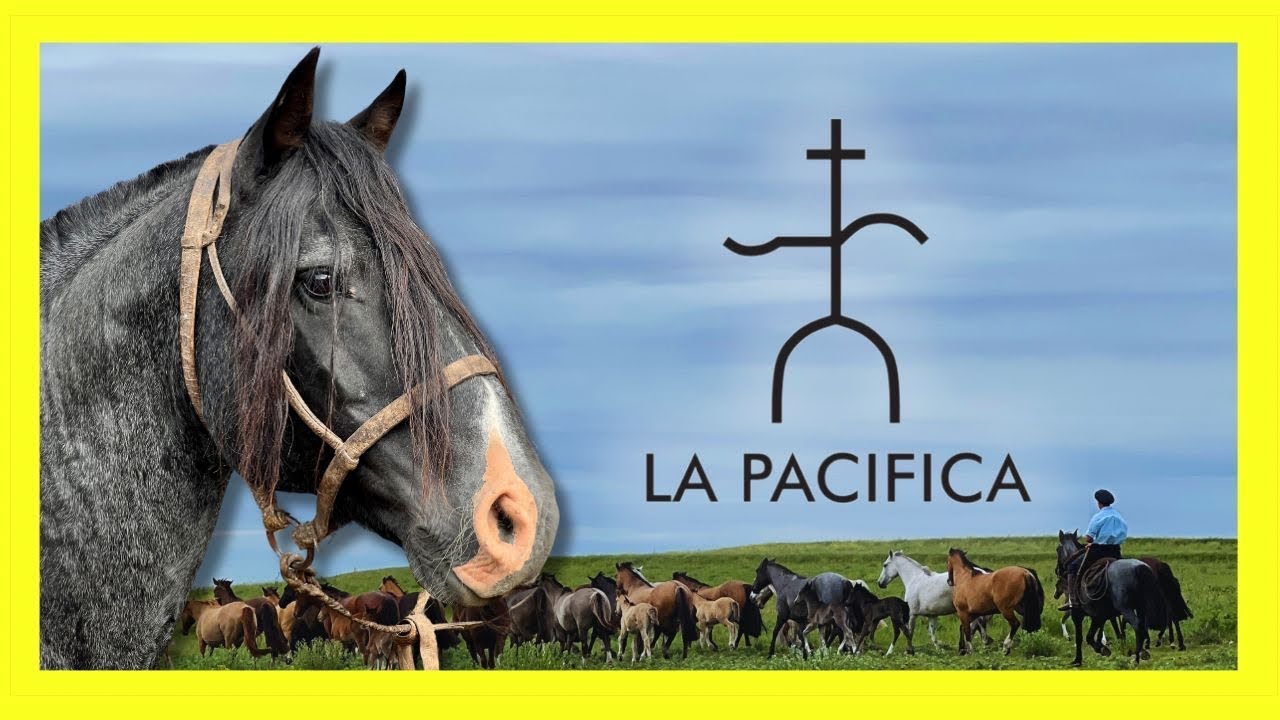 A origem de Colibri Matrero na Cabaña La Pacífica 🇺🇾