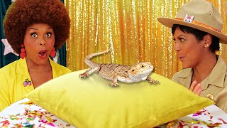 Ms. Tab's Lab: PETS | Taking Care of Pets | Educational Videos for Preschoolers | Pet Games