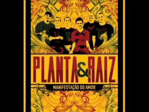 Amor E Paz video