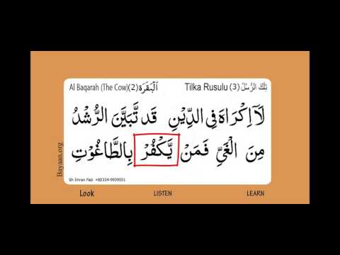 Surah Al Baqarah, The Cow, Surah 002, Verse 256,