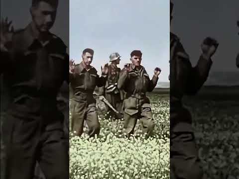 German 12th SS Panzer Division Hitlerjugend of the Waffen-SS near Caen Normandy #ww2 #panzer #tank