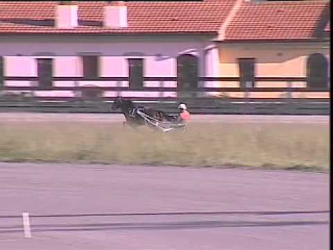 IPPODROMO DEI PINI - Prove di riqualifica 5 maggio 2014