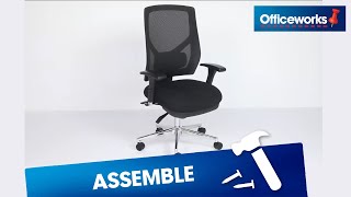 Professional ll Ergonomic Chair Assembly Instructions