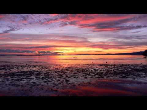 Avicii, Calfan Michael, Example uvm. - The Next Level of Resurrection (Beatbreakerz Special Mix)