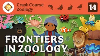 Frontiers in Zoology: Crash Course Zoology #14