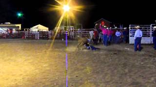 preview picture of video 'Caleb Traenkner Chute Dogging in Inman SC rodeo'