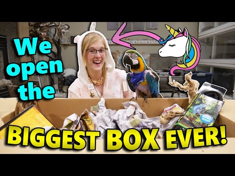 Unicorn Onesie in our Mail! (Fan Mail Part 10)
